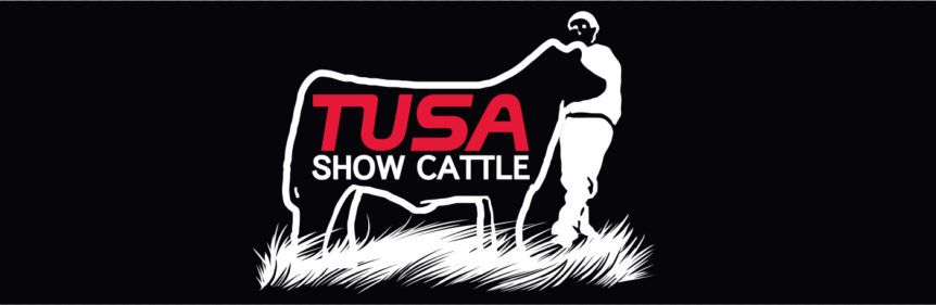 TUSA Show Cattle